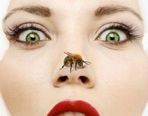 Apiterapia ciencia todavía desconocida